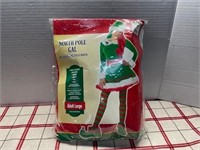 NORTH POLE GAL ELF COSTUME ADULT LARGE