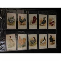 (10) Vintage Fowls Pigeons And Dogs Cards