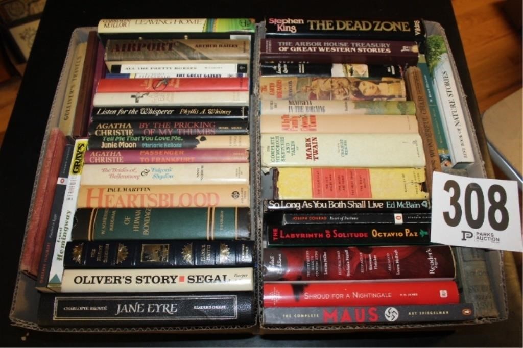 Box Lot Fiction Books