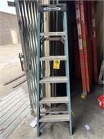 Werner 6FT Ladder