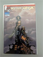 Marvel AnD Image comics  wolverine and witchblade