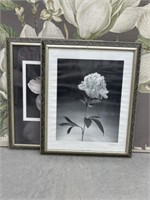 2 Framed Decorator Prints - Black & White Flowers