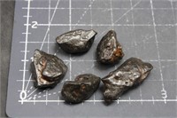 Meteorites, China, 1.2 oz