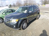 2008 Ford Escape 4WD XLT