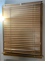 Pair of 36 inch Levolor blinds