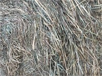 16 Grass/Alfalfa Mixed Round Bales