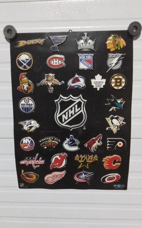 NHL Plastic Poster 21.5x29.5"
