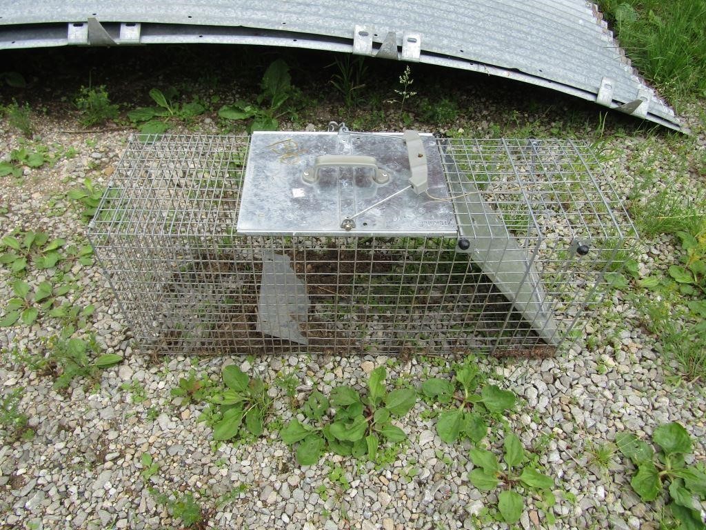 LIVE ANIMAL TRAP