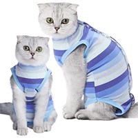 *Striped Blue Cat Suit*