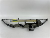 Compound Bow and Quiver