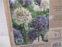 50-Pc Tasc Allium Amplectens Bulbs