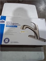 Project Source Everfield Pull Out Kitchen Faucet