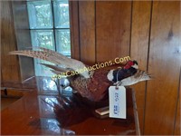 Taxidermy Flying Duck