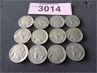 Twelve Buffalo nickels