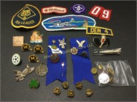 Pin & Scout Badge Collection