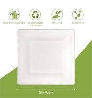 10 INCH COMPOSTABLE PAPER PLATES, LARGE AMOUNT