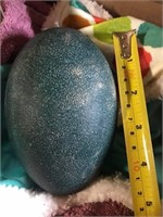 Fertile Emu Hatching Egg