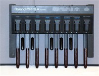 Roland PK-5A Dynamic Midi Pedal