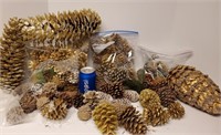 Pine Cones, various sizes