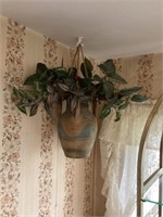 Hanging plant