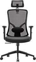 GARLIFUR Ergonomic Mesh Office Chair