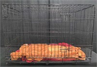 Animal cage approx 36" x 22" x 25"