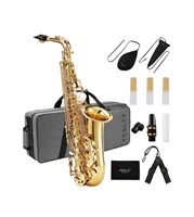 Fesley Saxophone E Flat Alto Saxophone: Saxofón