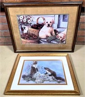 pictures- puppies & ferrets