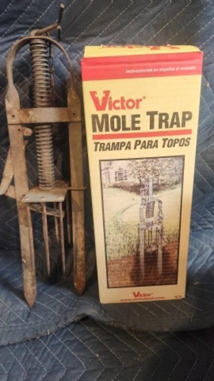 2 mole traps.