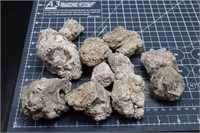 2lb 7oz Baker Ranch Thundereggs Rough, New Mexico