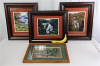 Framed Nature Photography