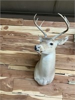 DEER MOUNT