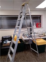 Davidson 8 ft aluminum ladder