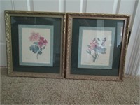 2 Floral Prints in Frames 21" x 19"