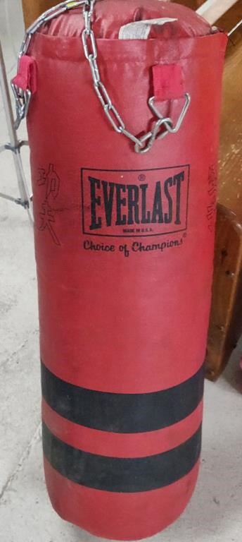 Everlast Punching Bag w/ Mounting Chains