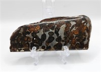 Sericho Pallasite Meteorite Slice