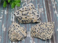 DALMATION JASPER ROCK STONE LAPIDARY SPECIMEN