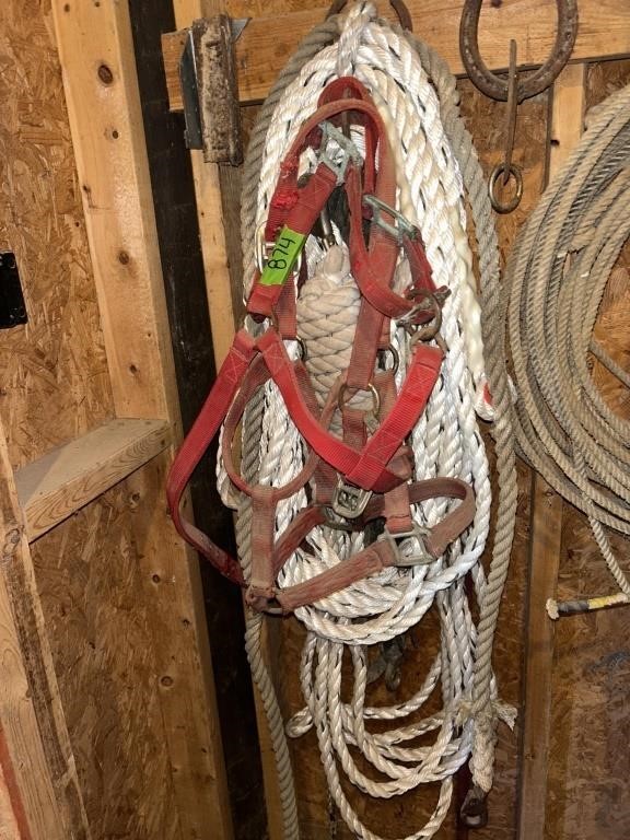 Horse reins and rope