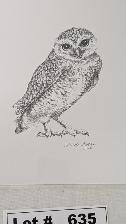 OWL SKETCHES BY LINDA BUTLER 2012
