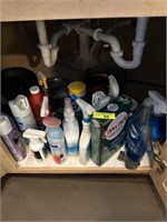 Dish drainer & items under sink