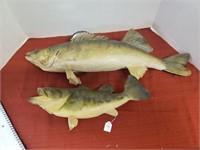 2 FISH MOUNT