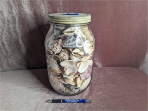 Large Jar with Lid Full of Sea Shells