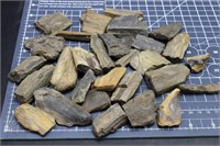 Petrified wood, South Dakota 2 pounds
