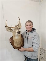8 Point Taxidermy  Deer Mount