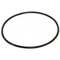 AO Smith 1074315 O-RingReplacement 5.48" A2