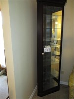 Corner Curio Cabinet (Lighted)