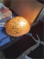 Cute orange turtle nightlight