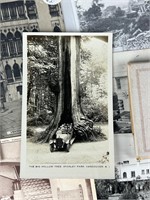 Collection of vintage black white postcards Rhein