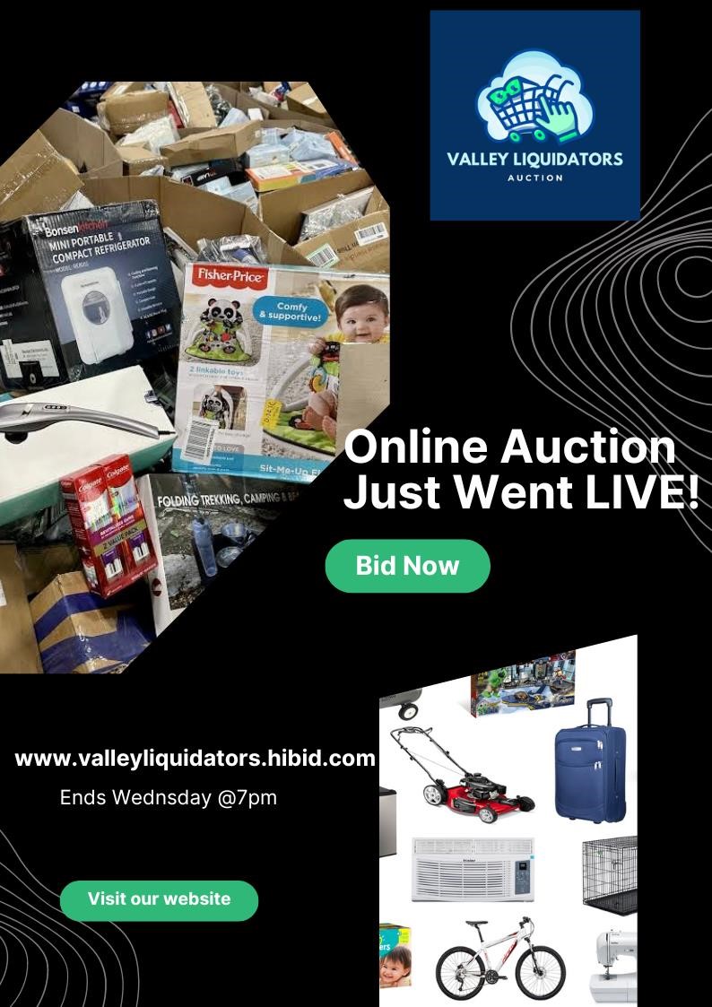 Valley Liquidators Auction