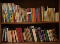 2 Shelves of Books on Bookcase - Case Not Included